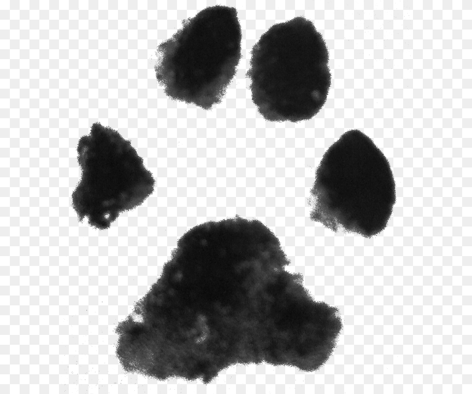Dog Paw Print Clipart Clipart Library Image Dog Paw Print Transparent Background Png