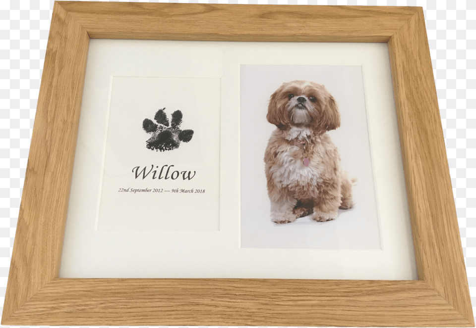 Dog Paw Print In Wood Frame With Photograph Using Inkless Paw, Animal, Canine, Mammal, Pet Free Transparent Png