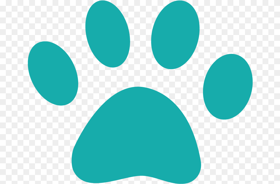 Dog Paw Prints, Turquoise, Head, Person, Face Png