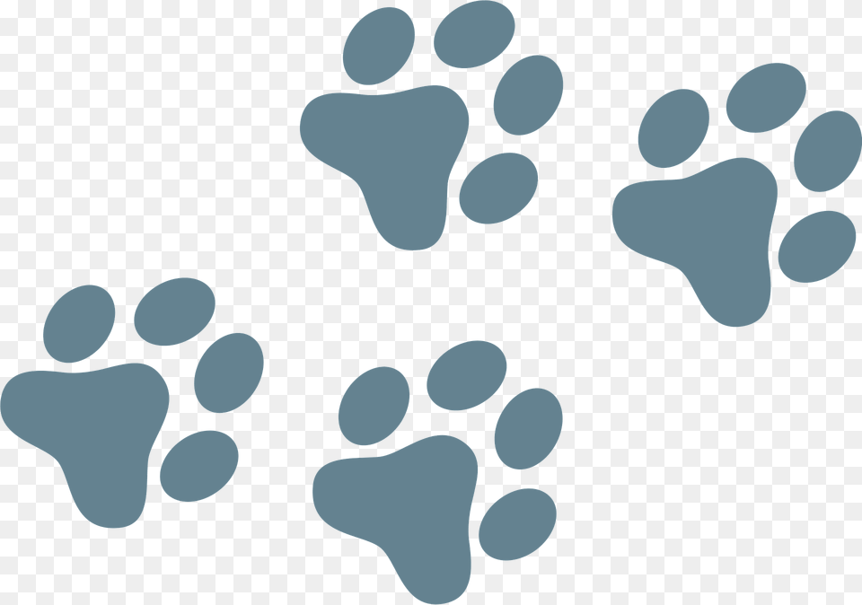 Dog Paw Prints Clipart, Footprint, Blackboard Free Png Download