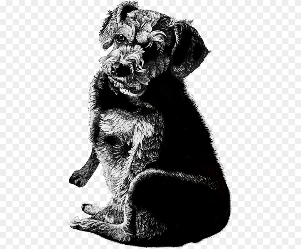 Dog Pen And Ink Portrait, Art, Adult, Bride, Female Free Transparent Png