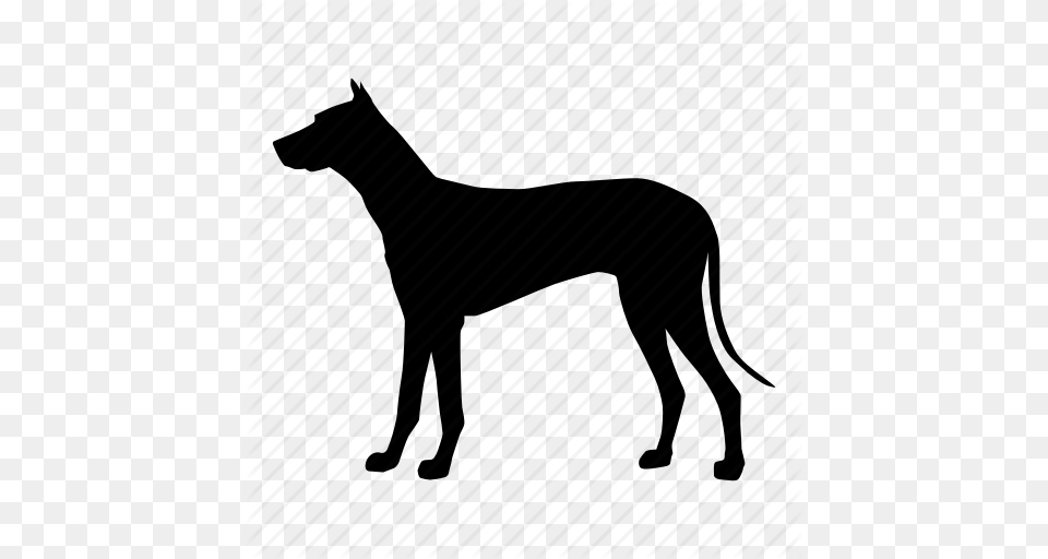 Dog Perro Pet Icon, Silhouette, Animal, Canine, Mammal Free Png