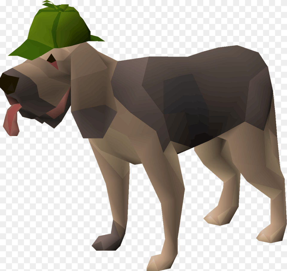 Dog Pet Osrs, Baby, Person, Animal, Mammal Free Png Download