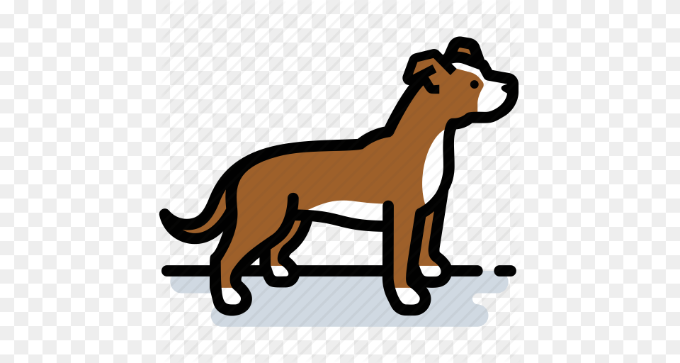 Dog Pet Pit Bull Pitbull Terrier Icon, Animal, Mammal, Wildlife, Canine Png Image