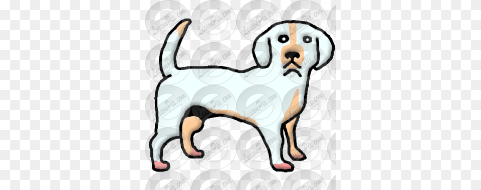 Dog Picture For Classroom Therapy Use, Animal, Canine, Mammal, Pet Free Png