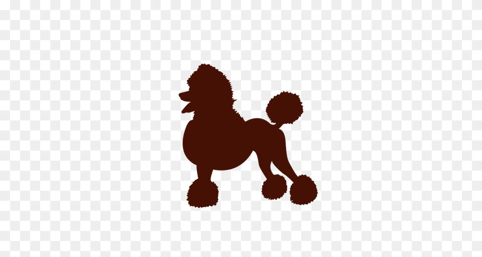 Dog Poodle In Red Silhouette, Animal, Canine, Mammal, Pet Free Png Download