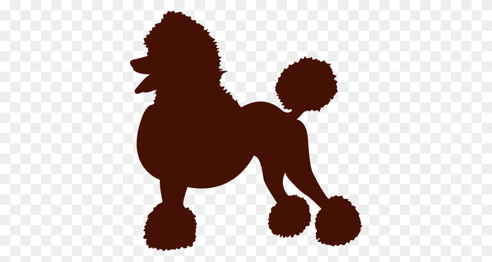 Dog Poodle Silhouette, Animal, Canine, Mammal, Pet Png