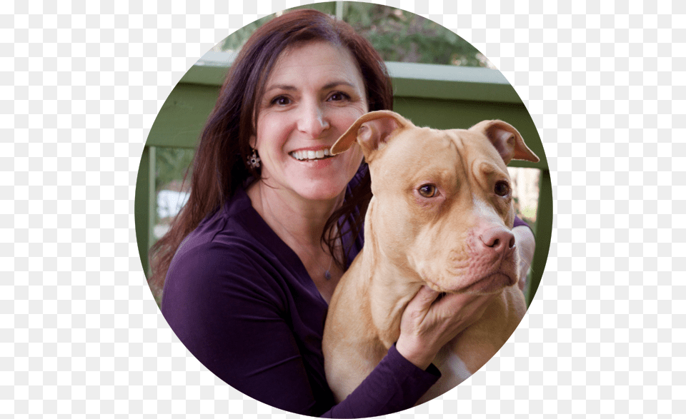Dog Pooping, Adult, Portrait, Pitbull, Photography Png