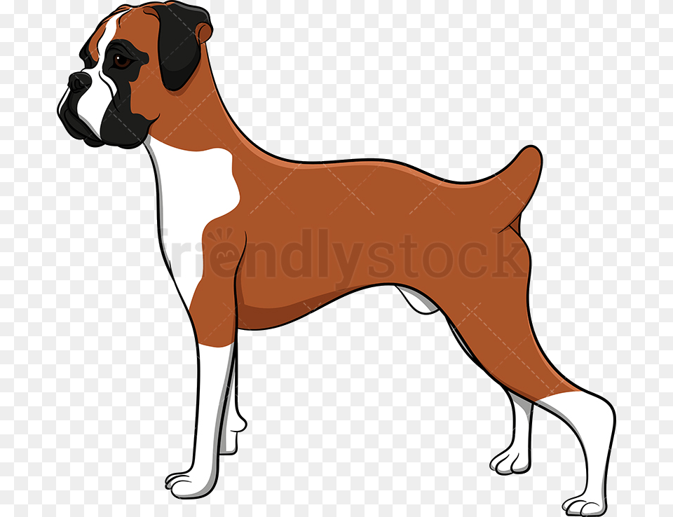 Dog Proud Boxer Vector Cartoon Clipart Dog Boxer Clip Art, Animal, Bulldog, Canine, Pet Free Transparent Png