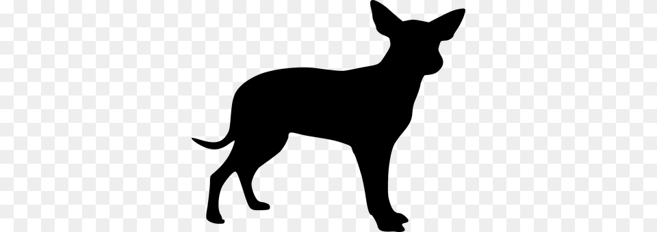 Dog Puppy Animal Black Silhouette Dog Dog Cachorro Desenho Preto, Gray Free Transparent Png