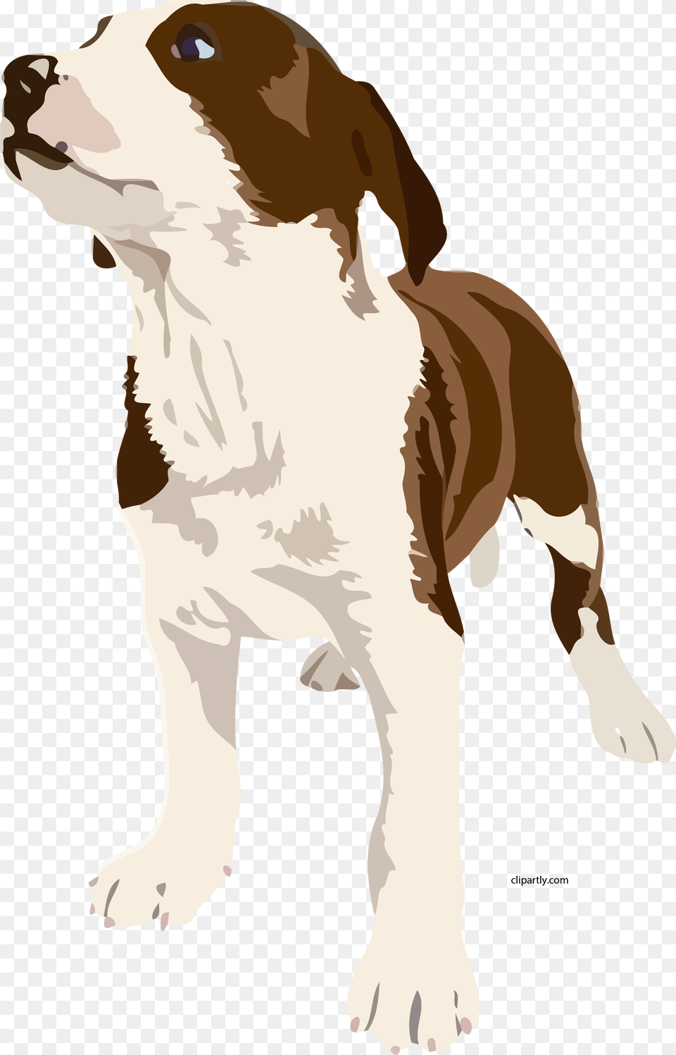 Dog Realistic Clipart Brown And White Dog Clipart, Animal, Canine, Mammal, Hound Png Image