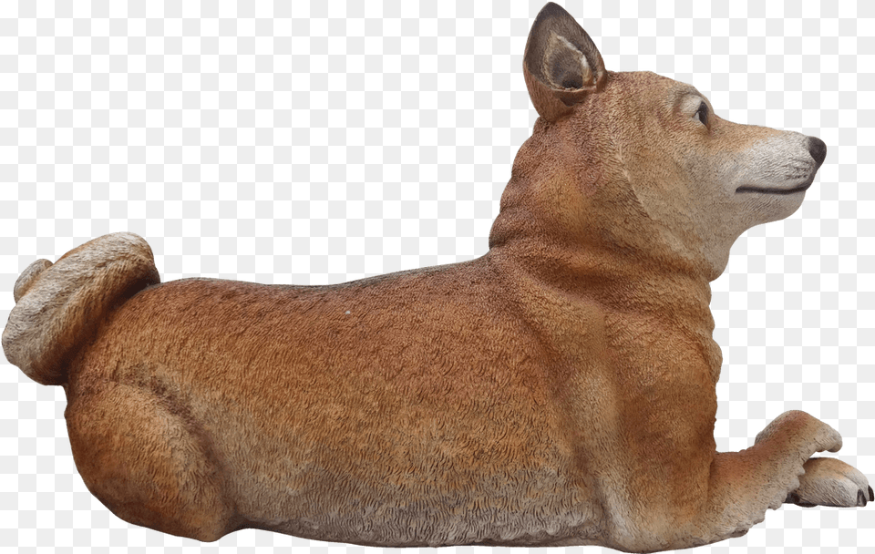 Dog Shiba Inu Animal Prop Life Size Decor Resin Statue Companion Dog, Canine, Mammal, Pet, Figurine Free Transparent Png
