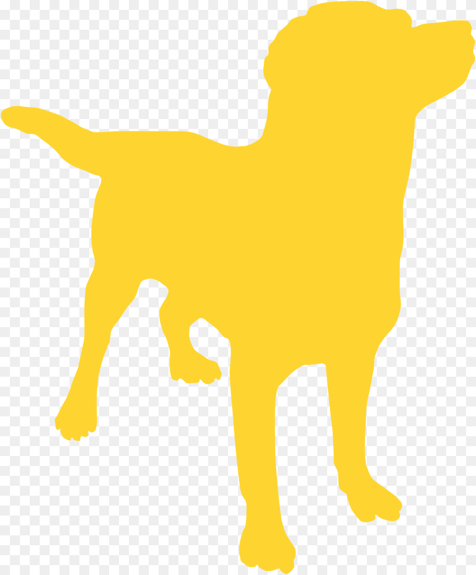 Dog Silhouette, Animal, Canine, Labrador Retriever, Mammal Free Png