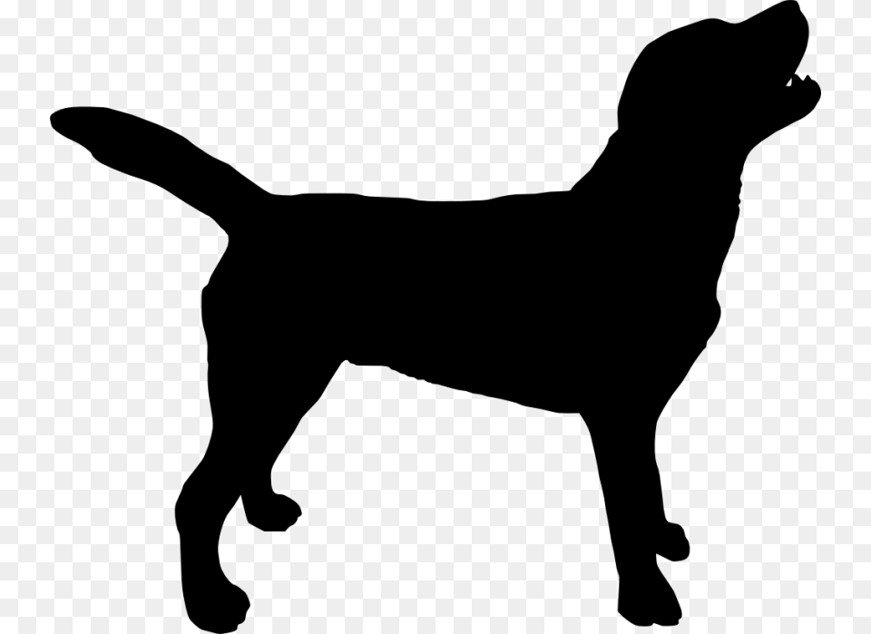 Dog Silhouette, Animal, Pet, Canine, Mammal Png