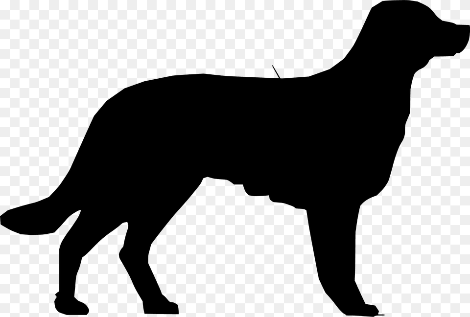 Dog Silhouette, Animal, Canine, Mammal, Kangaroo Free Png Download