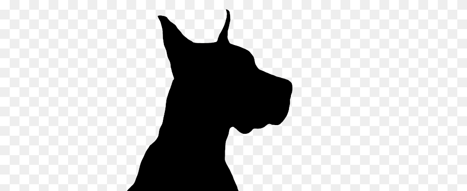 Dog Silhouette, Animal, Pet, Canine, Great Dane Free Png Download