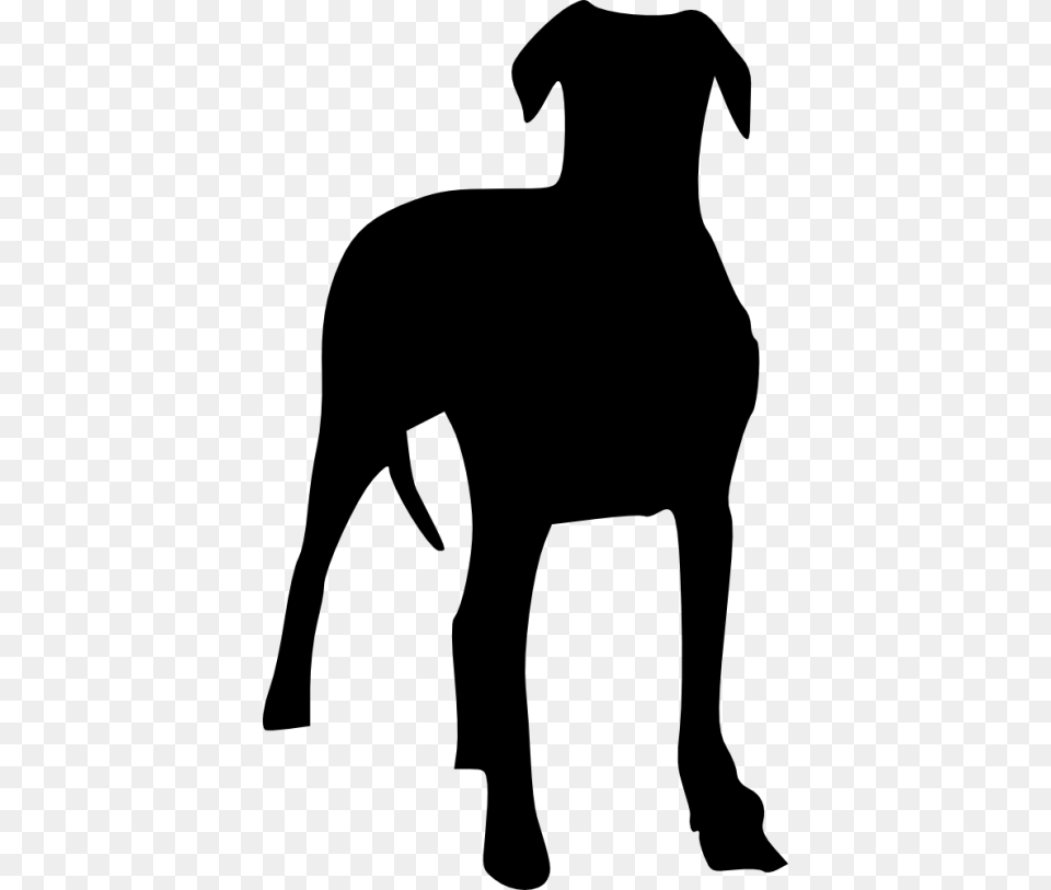Dog Silhouette, Clothing, Coat, Animal, Pet Png Image