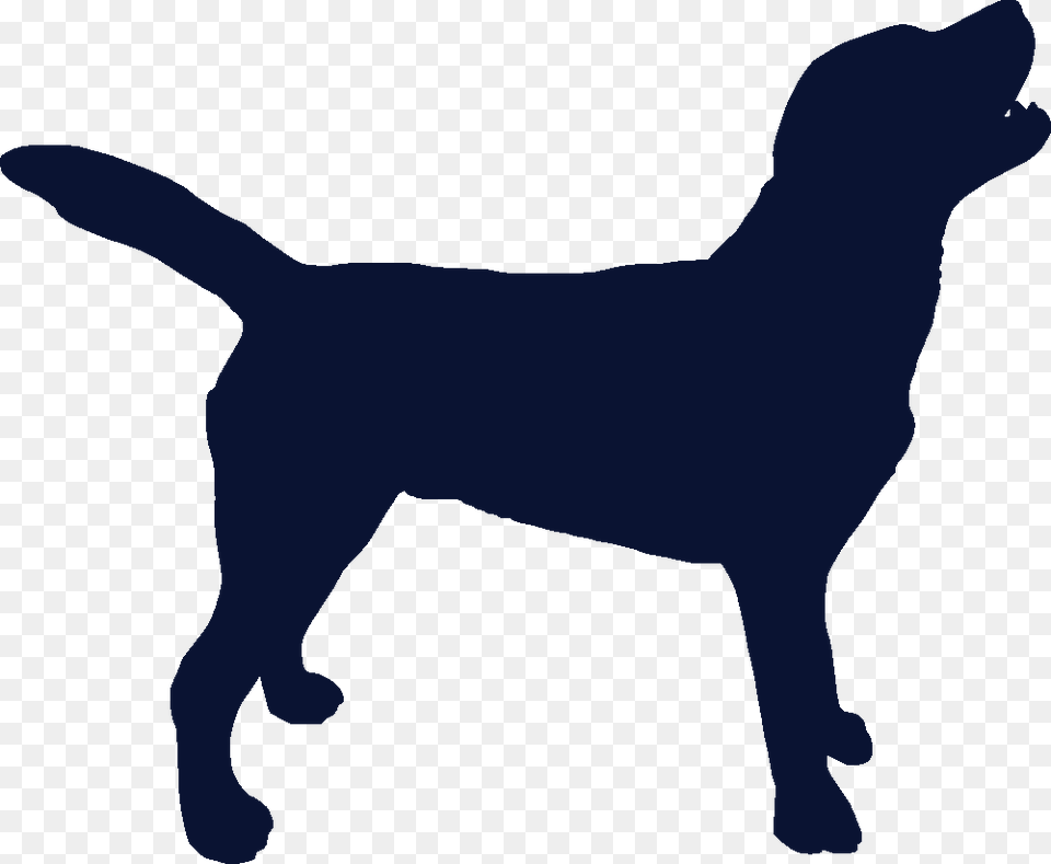 Dog Silhouette Background, Gray Png