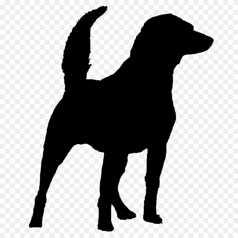 Dog Silhouette Canine Training Center Png