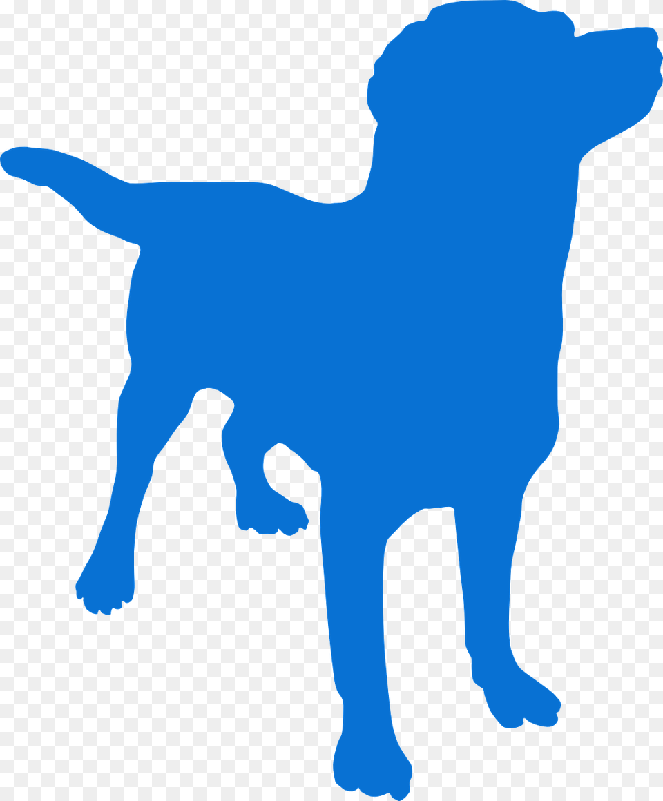 Dog Silhouette No Background Dog Silhouette, Animal, Canine, Labrador Retriever, Mammal Free Png Download