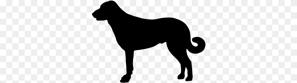 Dog Silhouettes Anatolian Shepherd Dog Silhouette, Gray Free Png