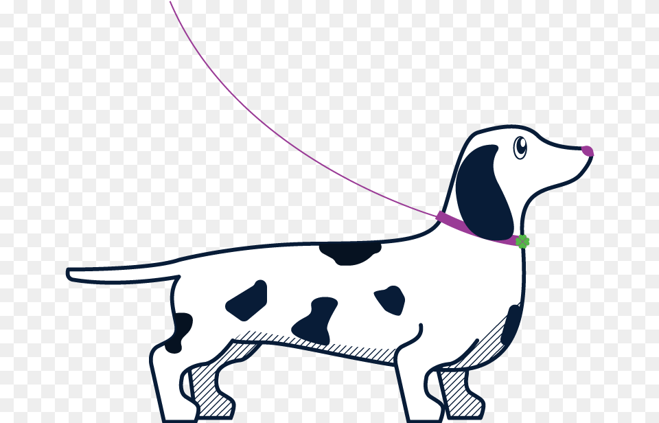 Dog Sitter Dog Sitting Dog Walking Clipart Scent Hound, Accessories, Strap, Leash, Person Free Transparent Png