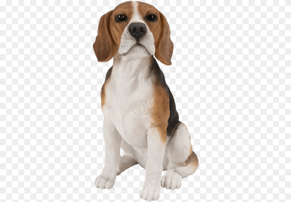 Dog Sitting Clipart Beagle Dog Sitting, Animal, Canine, Hound, Mammal Png Image