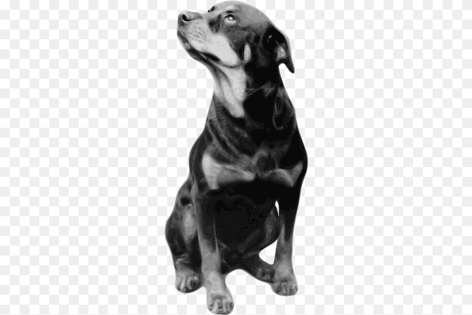 Dog Sitting Pet Staring Picture Rottweiler Breed Life Is Better With A Rottweiler Shower Curtain, Smoke Pipe, Animal, Canine, Mammal Png