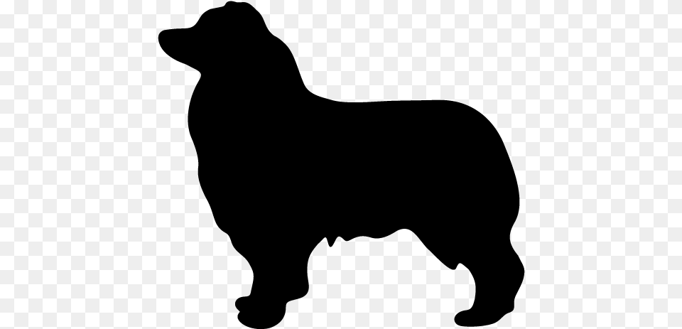 Dog Sitting Side View Clipart Library Download Silhouette Australian Shepherd Clipart, Gray Free Transparent Png