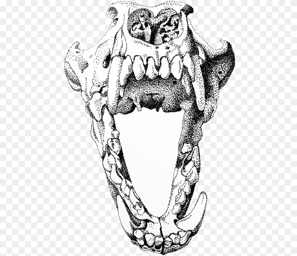 Dog Skull Vector Art, Body Part, Teeth, Person, Mouth Free Png
