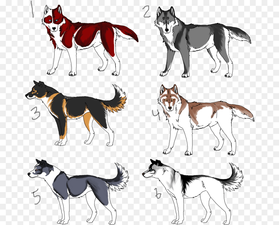 Dog Sled Drawing At Getdrawings Perro De Trineo Raza, Animal, Canine, Husky, Mammal Png