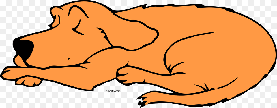 Dog Sleeping Peru Color Clipart, Animal, Canine, Golden Retriever, Mammal Free Png