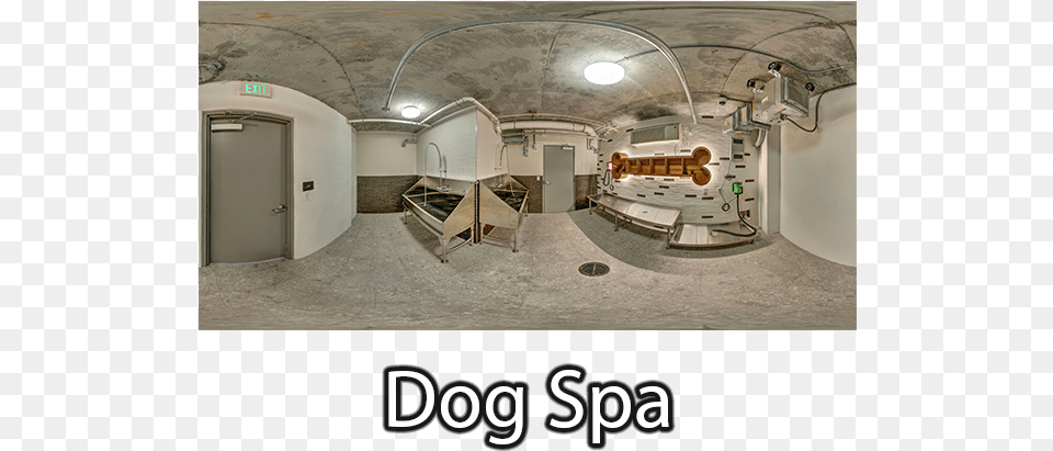Dog Spa Floor, Architecture, Building, Flooring, Hospital Png Image