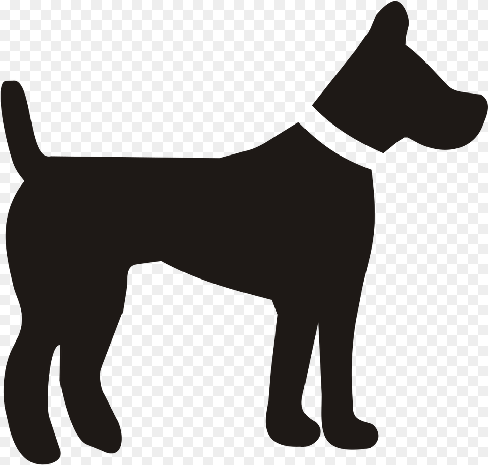 Dog Svg, Animal, Terrier, Pet, Mammal Png