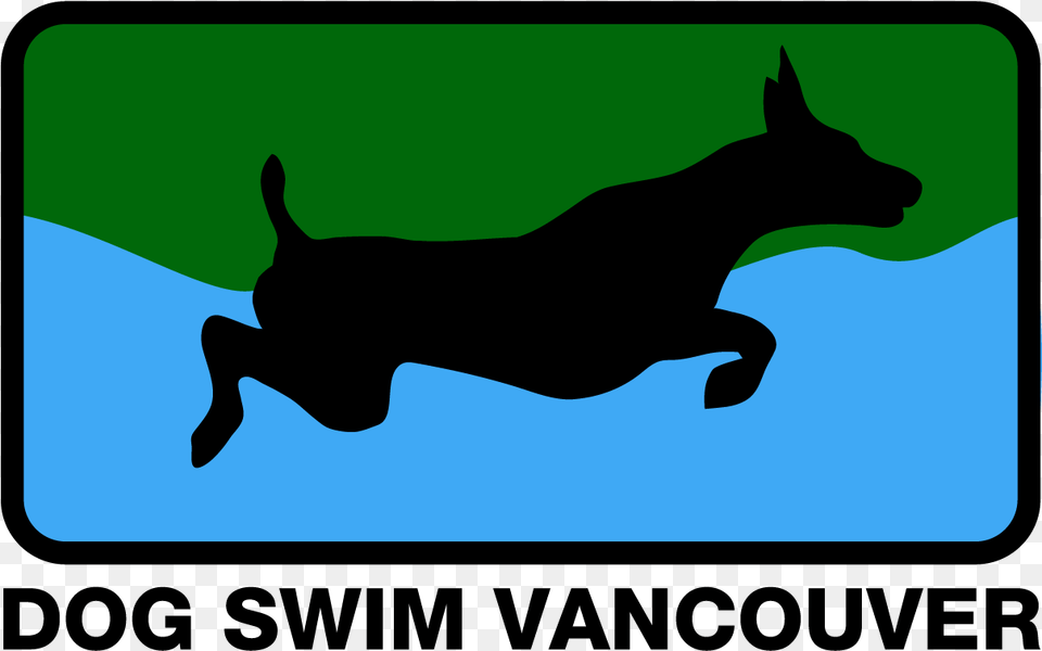 Dog Swim Vancouver Dog Agility Vector, Animal, Canine, Mammal, Pet Png Image