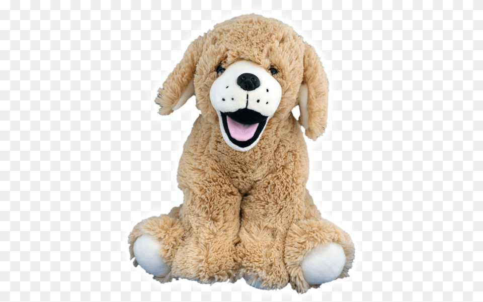 Dog Teddy Bear, Plush, Toy, Teddy Bear Free Png Download