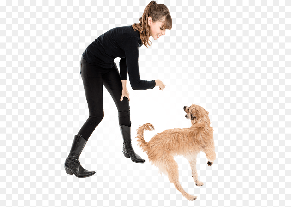 Dog Training, Adult, Photography, Person, Woman Png