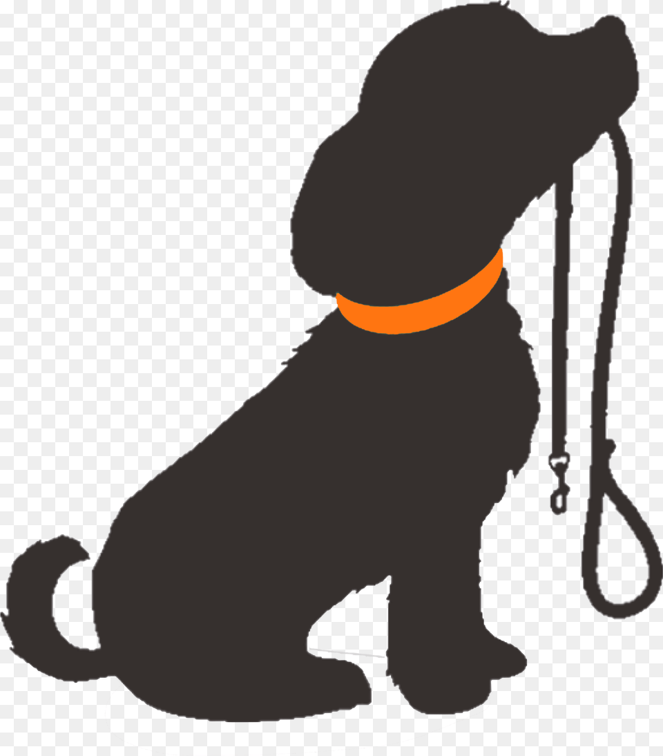 Dog Training Clipart Dog Silhouette Transparent Background, Accessories, Strap, Baby, Person Free Png Download