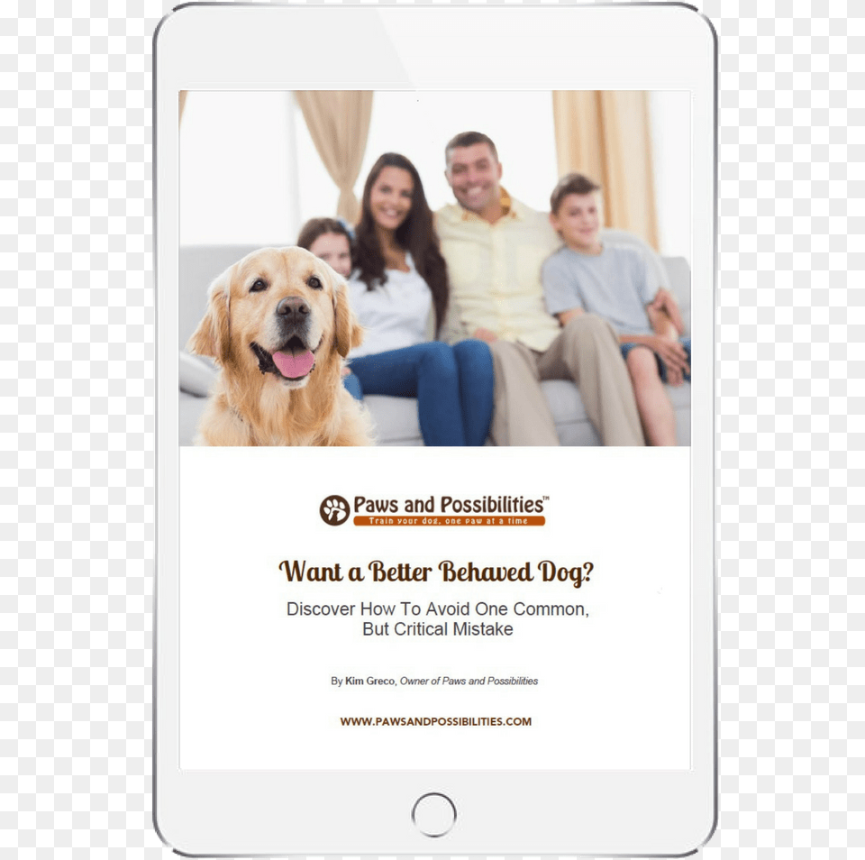 Dog Training Golden Retriever, Person, People, Adult, Teen Png