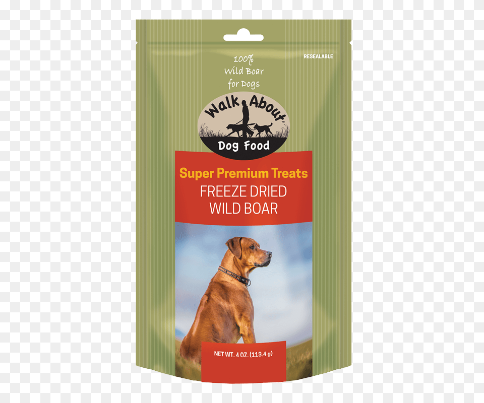 Dog Treats, Animal, Canine, Mammal, Pet Free Png