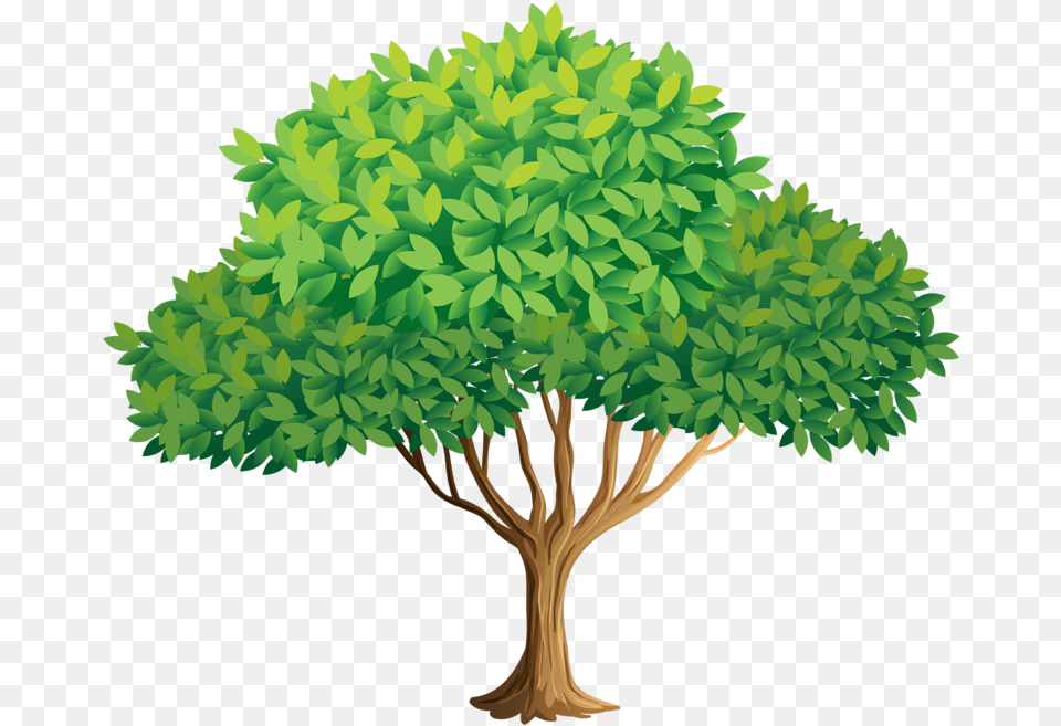 Dog Under The Tree Clipart, Plant, Oak, Sycamore, Vegetation Png Image