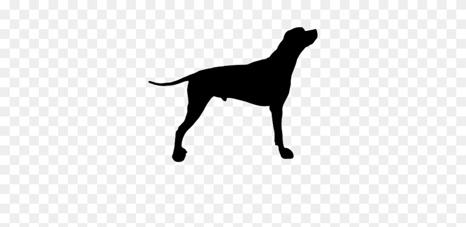 Dog Vector Cheltenham Animal Shelter, Silhouette, Stencil, Canine, Mammal Png