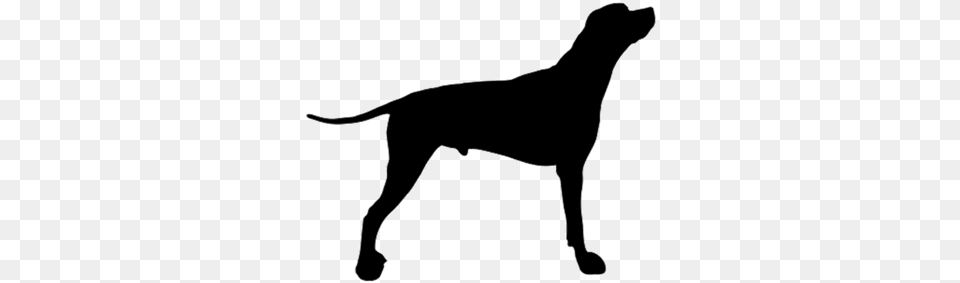 Dog Vector Dog Shape, Silhouette, Animal, Canine, Mammal Free Transparent Png