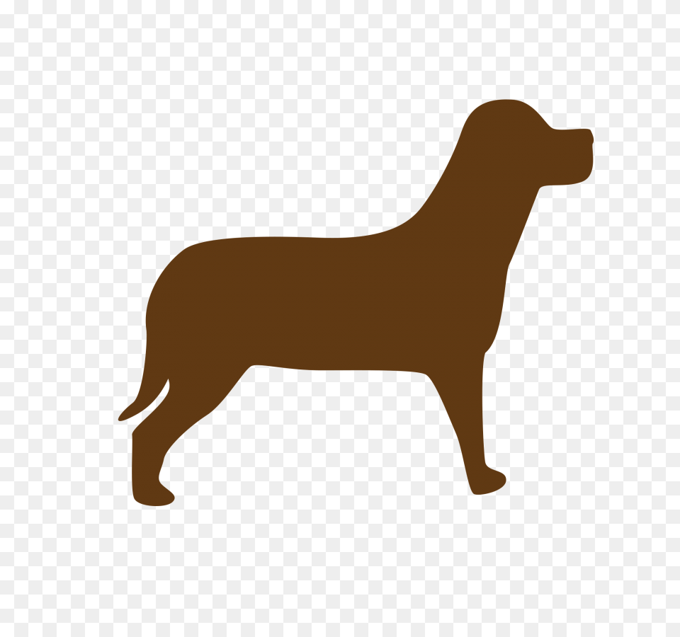 Dog Vector Icon Transparent Background Image, Animal, Canine, Mammal, Pet Free Png