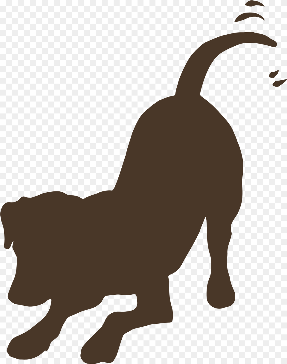 Dog Wagging Tail Silhouette Download Clipart Dog Transparent Background, Animal, Canine, Mammal, Coyote Png