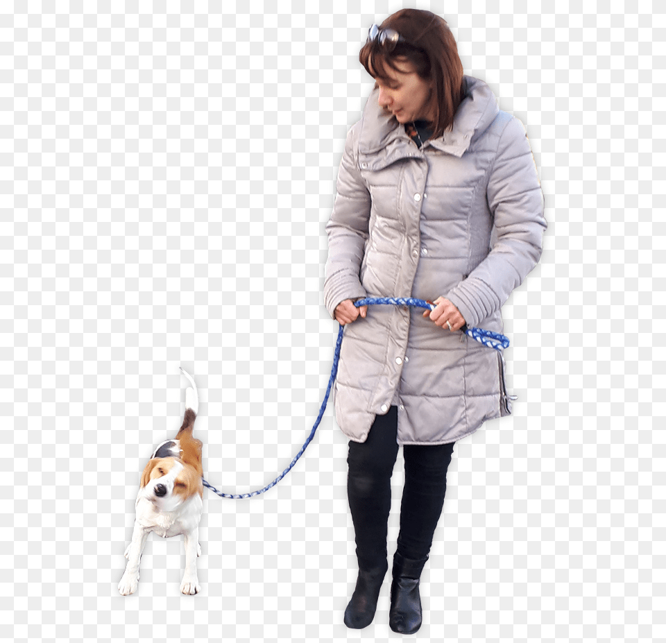 Dog Walking, Accessories, Strap, Clothing, Coat Png