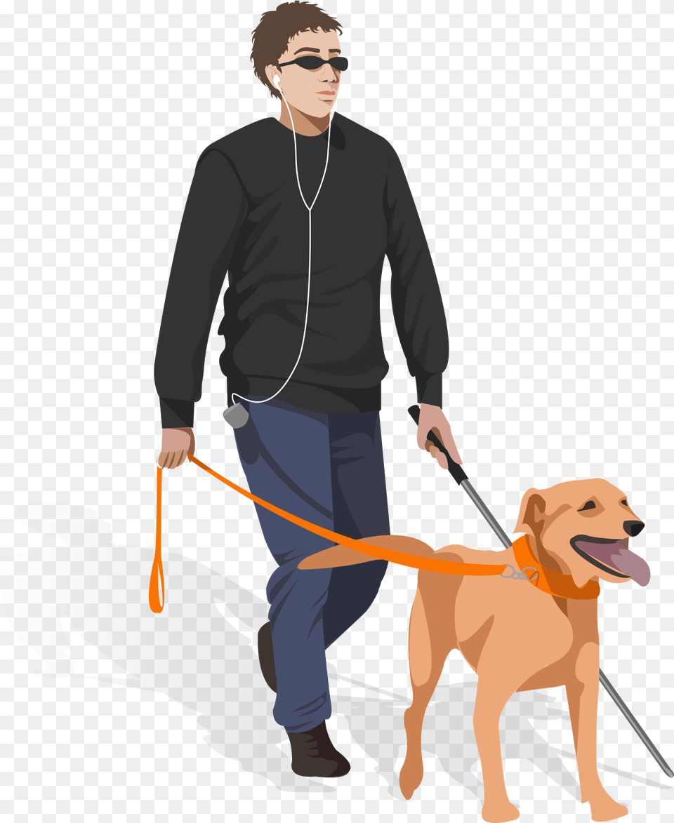 Dog Walking, Adult, Person, Man, Male Png Image