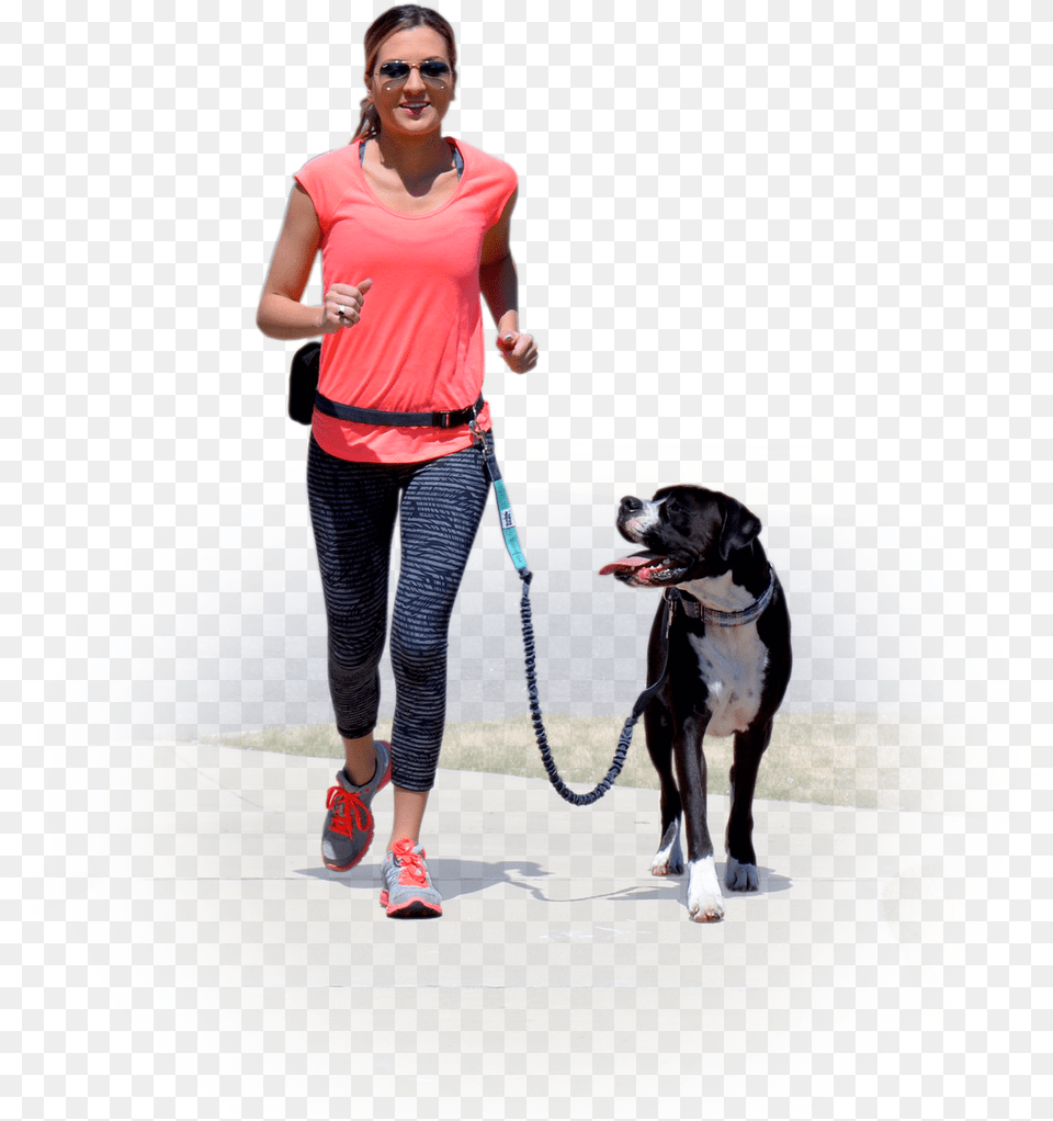 Dog Walking, Accessories, Strap, Person, Male Free Png