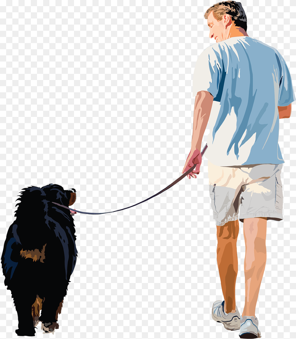 Dog Walking, Clothing, Shorts, Adult, Person Free Transparent Png