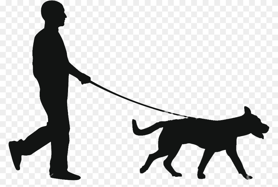 Dog Walking, Adult, Person, Man, Male Free Png Download
